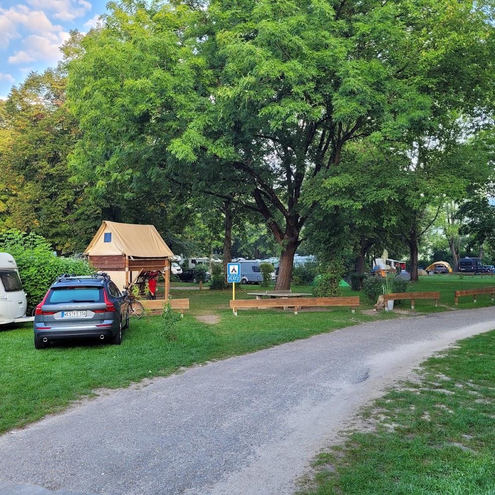 A campground with a large tree, a camper van, and a wooden bench.